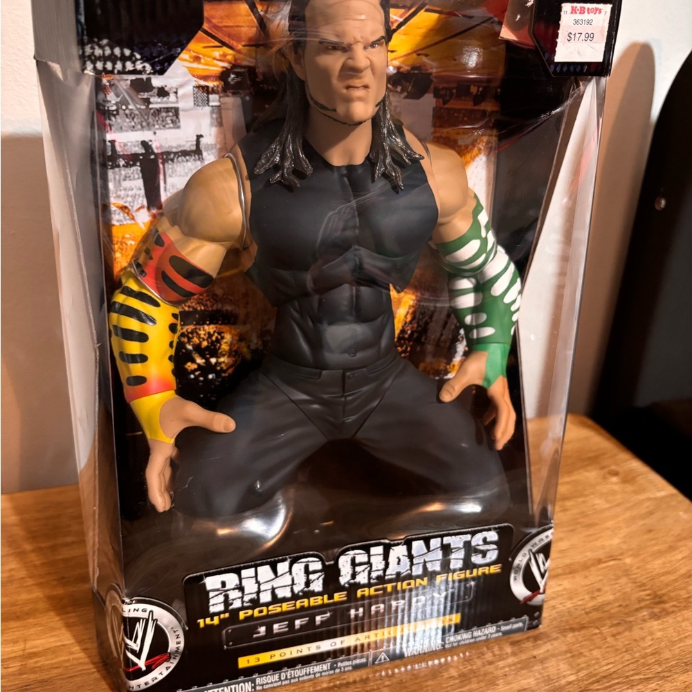 Ring Giants 14' poseable Action Figure Jeff Hardy